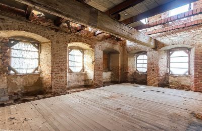 Castle for sale Komorowice, Wrocławska 27, Lower Silesia, Interior 2