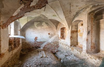 Castle for sale Komorowice, Wrocławska 27, Lower Silesia, Interior 1