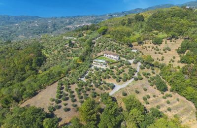 Historic property for sale Montecatini Terme, Tuscany, Image 2/20