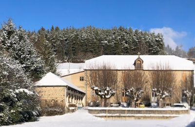 Monastery for sale Auvergne-Rhône-Alpes, Image 3/21
