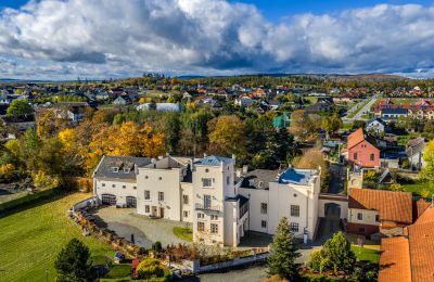 Castle Trnová, Central Bohemian Region