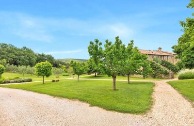 Country property for sale Borgo Santa Rita, Tuscany, Image 5/31
