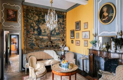 Manor house for sale Pau, New Aquitaine, Image 3/10