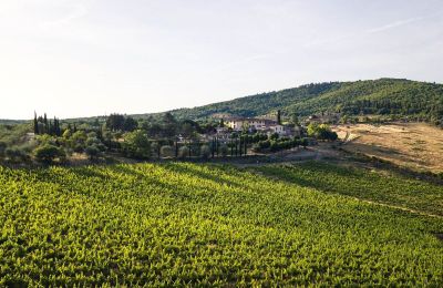 Herregård til salg Castellina in Chianti, Toscana, Ejendommens omgivelser