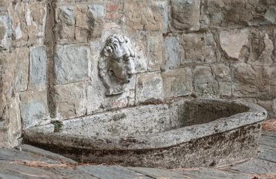 Herregård til salg Castellina in Chianti, Toscana, Billede 8/29