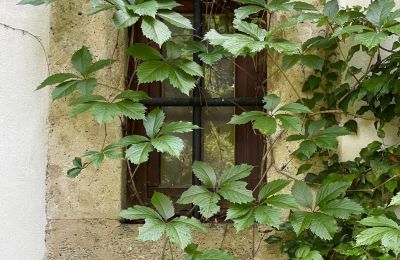 Castle for sale 84375 Kirchdorf am Inn, Hofmarkstraße 2, Bavaria, eines von 4 Tuffsteinfenstern im EG