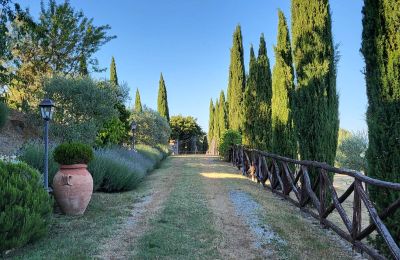 Country property for sale Anghiari, Tuscany, Image 16/41