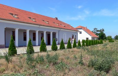 Historic properties, Manor house with 15 acres near Budapest