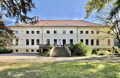 Manor house for sale 39576 Stendal, Saxony-Anhalt, Westansicht