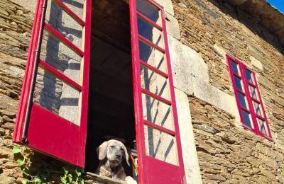 Manor house for sale Galicia, Image 10/48