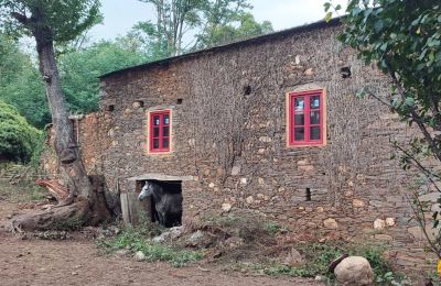 Manor house for sale Galicia, Image 11/48