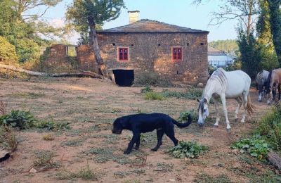 Manor house for sale Galicia, Image 12/48