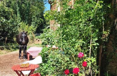 Manor house for sale Galicia, Image 28/48