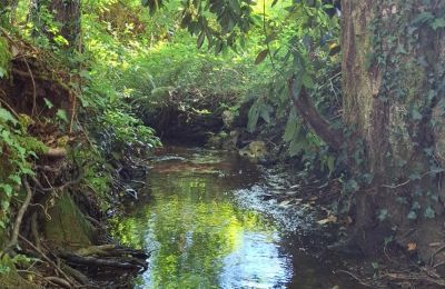 Manor house for sale Galicia, Image 35/48