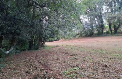 Manor house for sale Galicia, Image 44/48