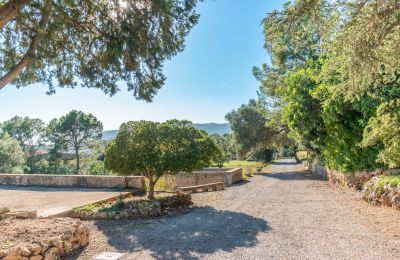 Manor house for sale Palma, Balearic Islands, Image 18/24