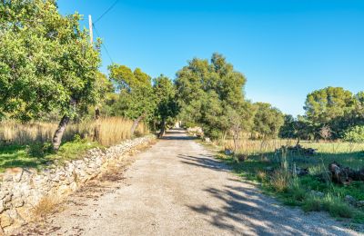 Manor house for sale Palma, Balearic Islands, Image 20/24