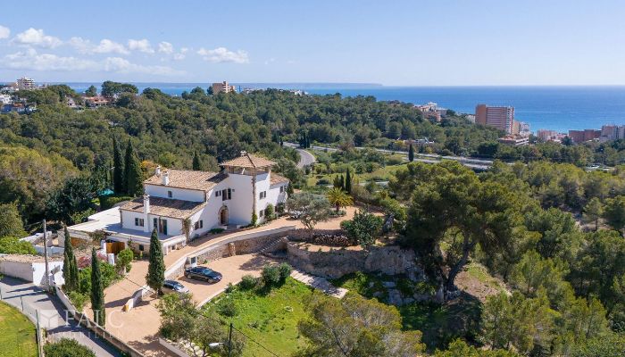  Mallorca, Palma, Gènova 2