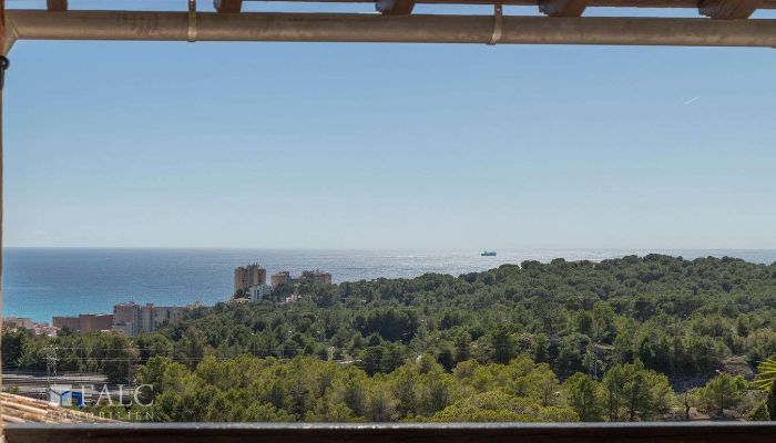  Mallorca, Palma, Gènova 3