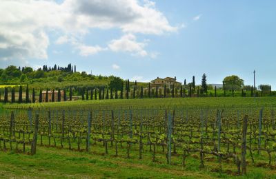 Country property for sale Sarteano, Tuscany, Image 49/50