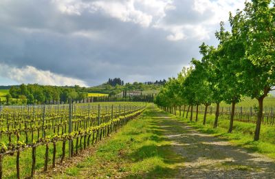 Country property for sale Sarteano, Tuscany, Image 46/50