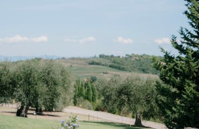 Country property for sale Sarteano, Tuscany, Image 44/50