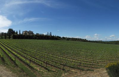 Country property for sale Sarteano, Tuscany, Image 50/50