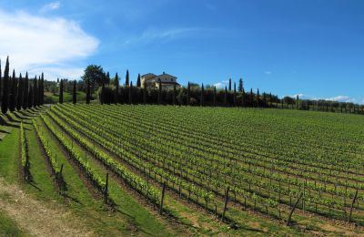 Country property for sale Sarteano, Tuscany, Image 48/50