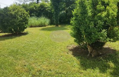 Historic villa for sale Salies-de-Béarn, New Aquitaine, Image 17/17