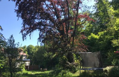 Period apartment for sale Gera, Vollersdorfer Str. 56, Thuringia, Garten mit Buche