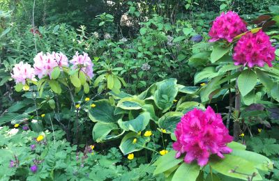 Period apartment for sale Gera, Vollersdorfer Str. 56, Thuringia, Rhododendronbeet