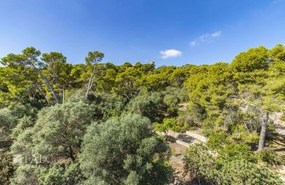 Historic villa for sale Palma, Balearic Islands, villa-palma-30