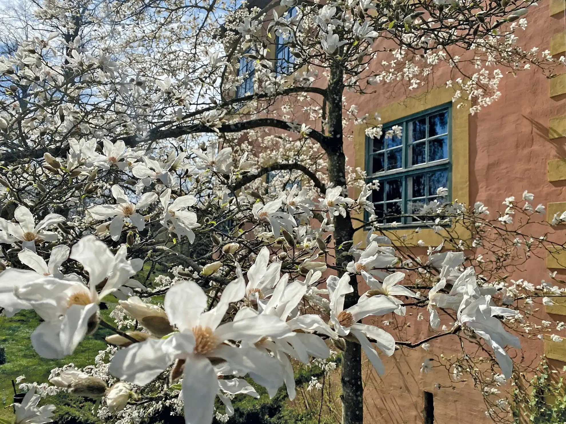 Billeder Burg Turow i Nordtyskland
