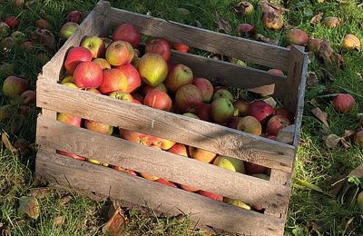 Medieval castle for sale Mecklenburg-West Pomerania, Image 77/97