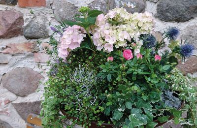 Medieval castle for sale Mecklenburg-West Pomerania, Image 52/97