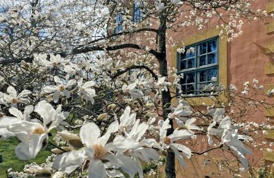 Borg til salg Mecklenburg-Vorpommern, Billede 1/96