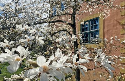 Medieval castle for sale Mecklenburg-West Pomerania, Image 44/97