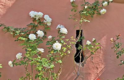 Medieval castle for sale Mecklenburg-West Pomerania, Image 43/97