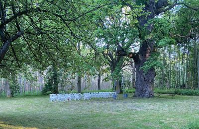 Medieval castle for sale Mecklenburg-West Pomerania, Image 67/97