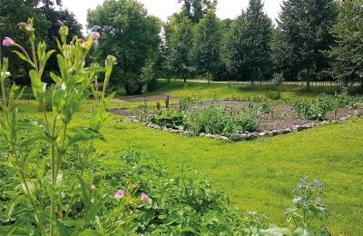 Medieval castle for sale Mecklenburg-West Pomerania, Image 63/97