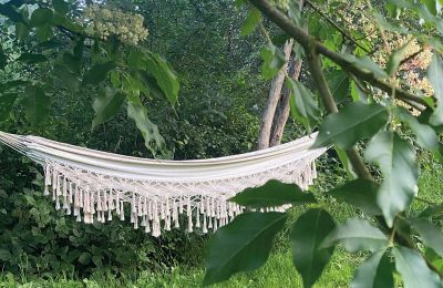 Medieval castle for sale Mecklenburg-West Pomerania, Image 69/97