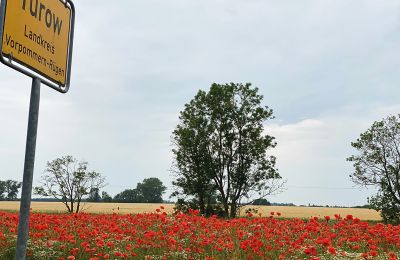 Medieval castle for sale Mecklenburg-West Pomerania, Image 92/97