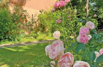 Medieval castle for sale Mecklenburg-West Pomerania, Image 45/97