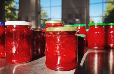 Medieval castle for sale Mecklenburg-West Pomerania, Image 62/97