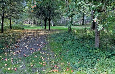 Medieval castle for sale Mecklenburg-West Pomerania, Image 68/97