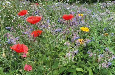 Medieval castle for sale Mecklenburg-West Pomerania, Image 64/97