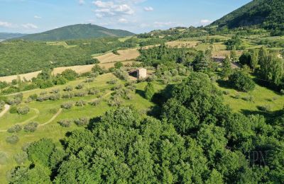 Country property for sale 06019 Polgeto, Umbria, Image 26/28
