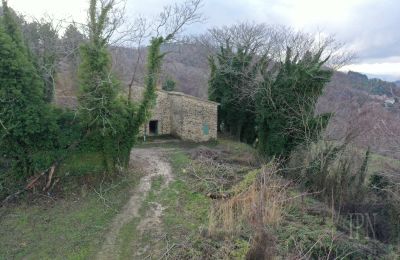 Country property for sale 06026 Pietralunga, Umbria, Image 5/25