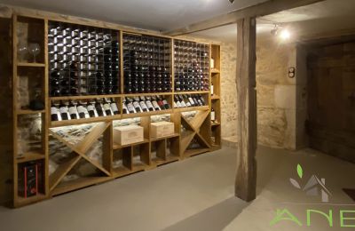 Country property for sale Mouzon, New Aquitaine, Wine cellar