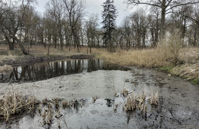 Manor house for sale Bolkowice, Dwór w Bolkowicach, West Pomerania, Palace Garden